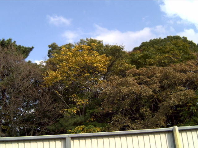 fuukeip0000.jpg